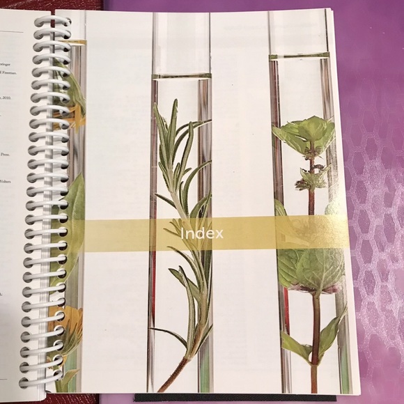 NEW 📖 Modern Essentials Usage Guide 7th Ed. - Picture 12 of 16